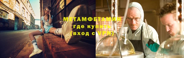 PSILOCYBIN Белокуриха